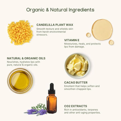 ILIKA Lip balm, Organic, 100% Plant-based, Natural Lip Treatment, COSMOS Certified Organic, PETA Certified Vegan & Cruelty-Free 2 Pack, Ginger Lemon & Almond Cardamom Rose - Reskined- Best Price in United States