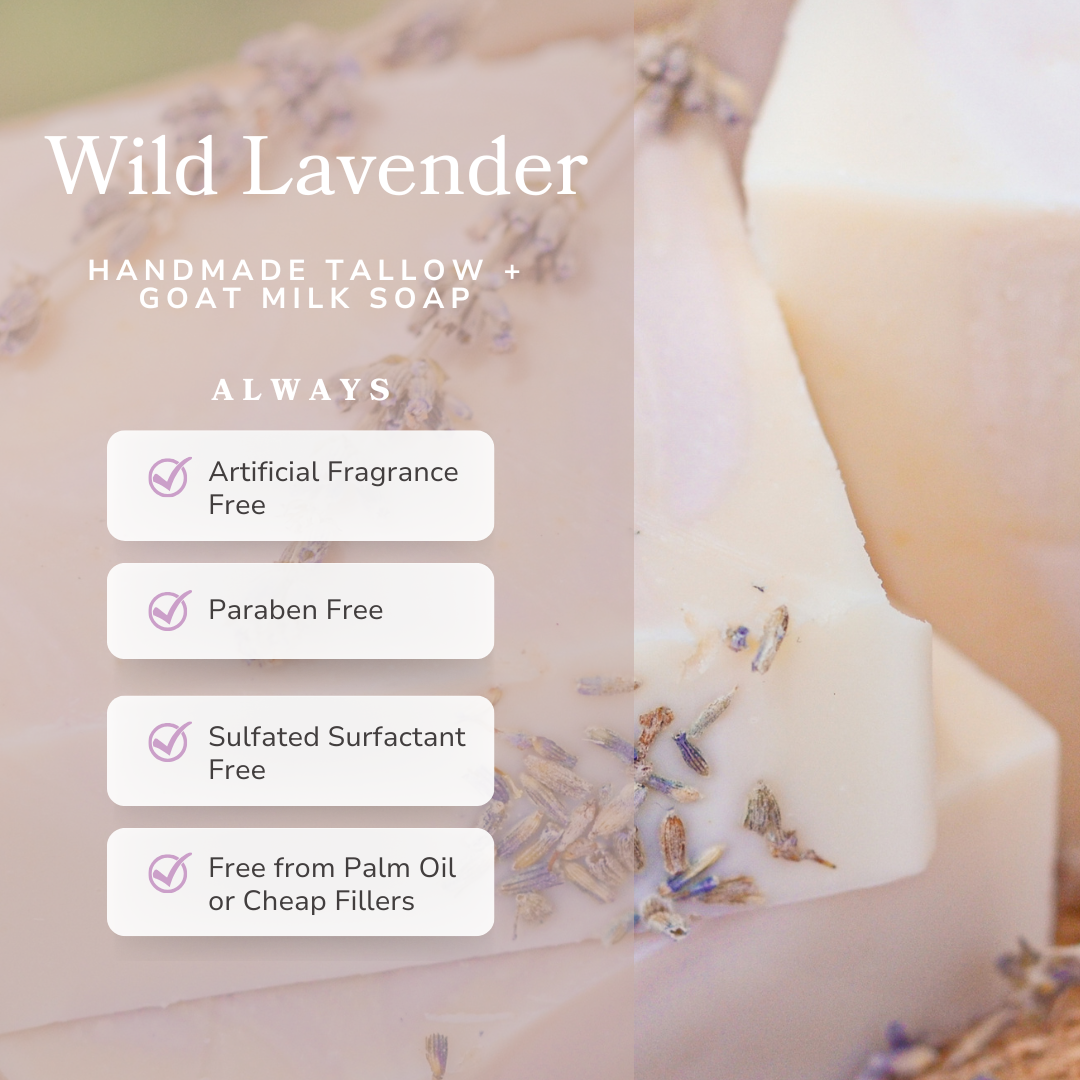 Wild Lavender Handmade Tallow and Goat Milk Soap Bar - Reskined- Best Price in United States
