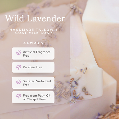 Wild Lavender Handmade Tallow and Goat Milk Soap Bar - Reskined- Best Price in United States