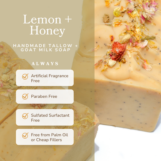 Lemon + Honey + Poppy Seed Handmade Tallow and Goat Milk Soap Bar - Reskined- Best Price in United States