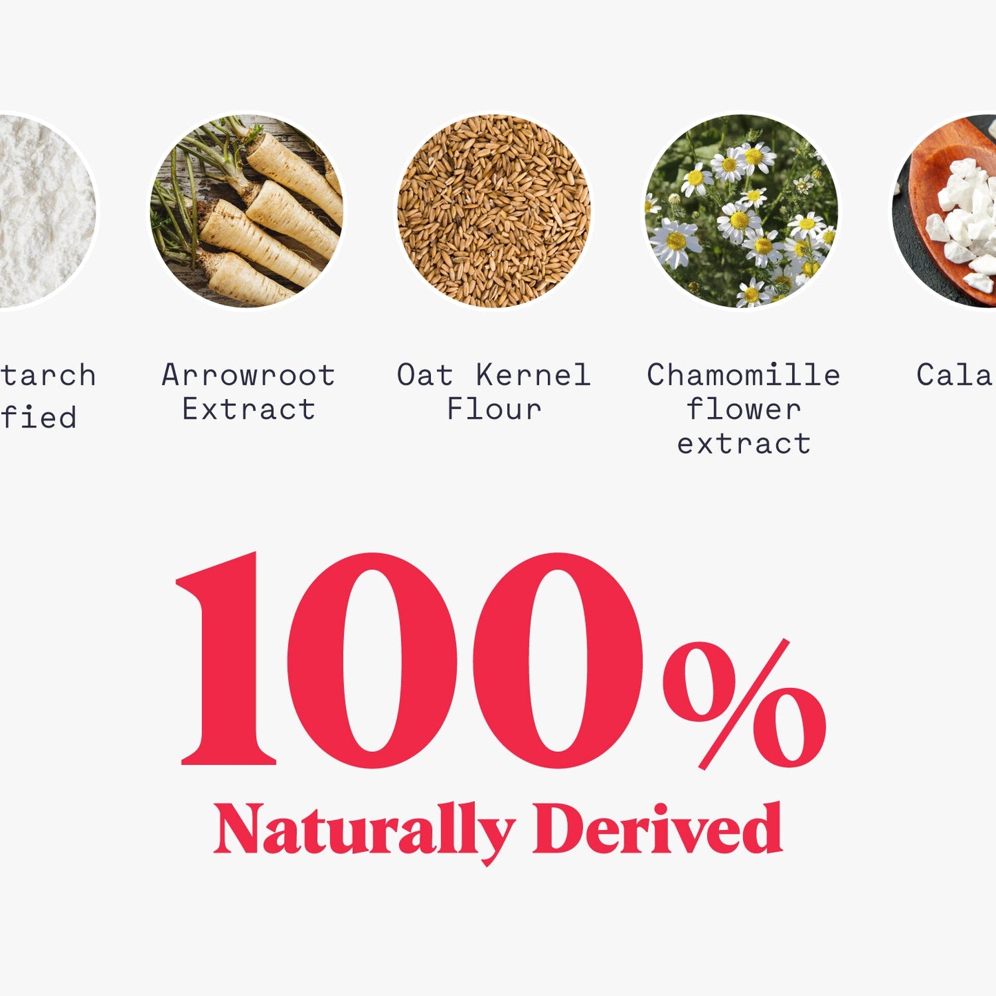 Body Powder - Reskined- Best Price in United States