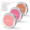 Powder Blush - Reskined- Best Price in United States