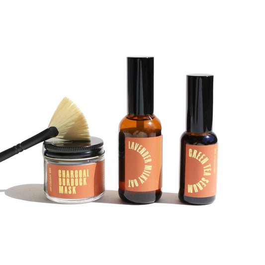 Facial Spa Bundle - Reskined- Best Price in United States