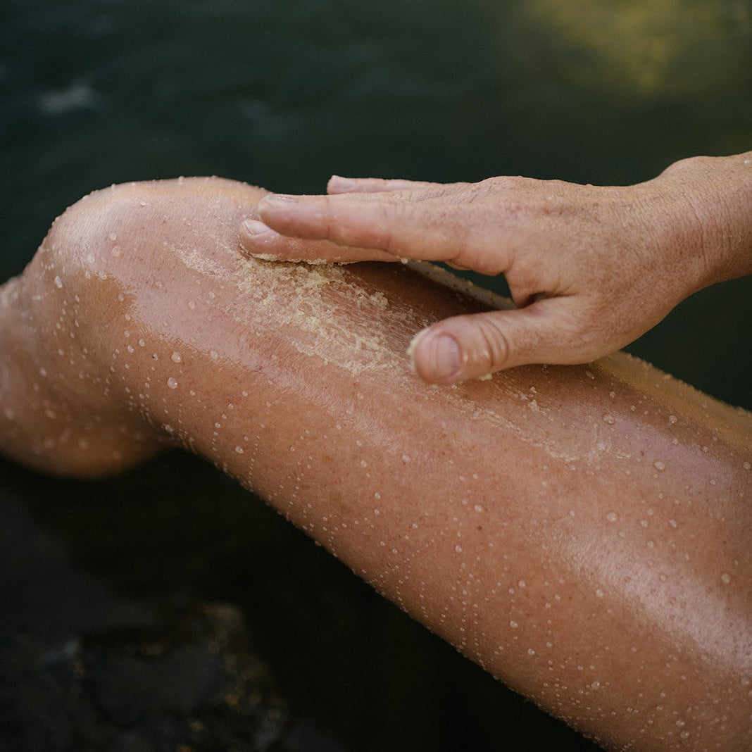 Guava Helichrysum Illuminating Shea Body Scrub - Reskined- Best Price in United States