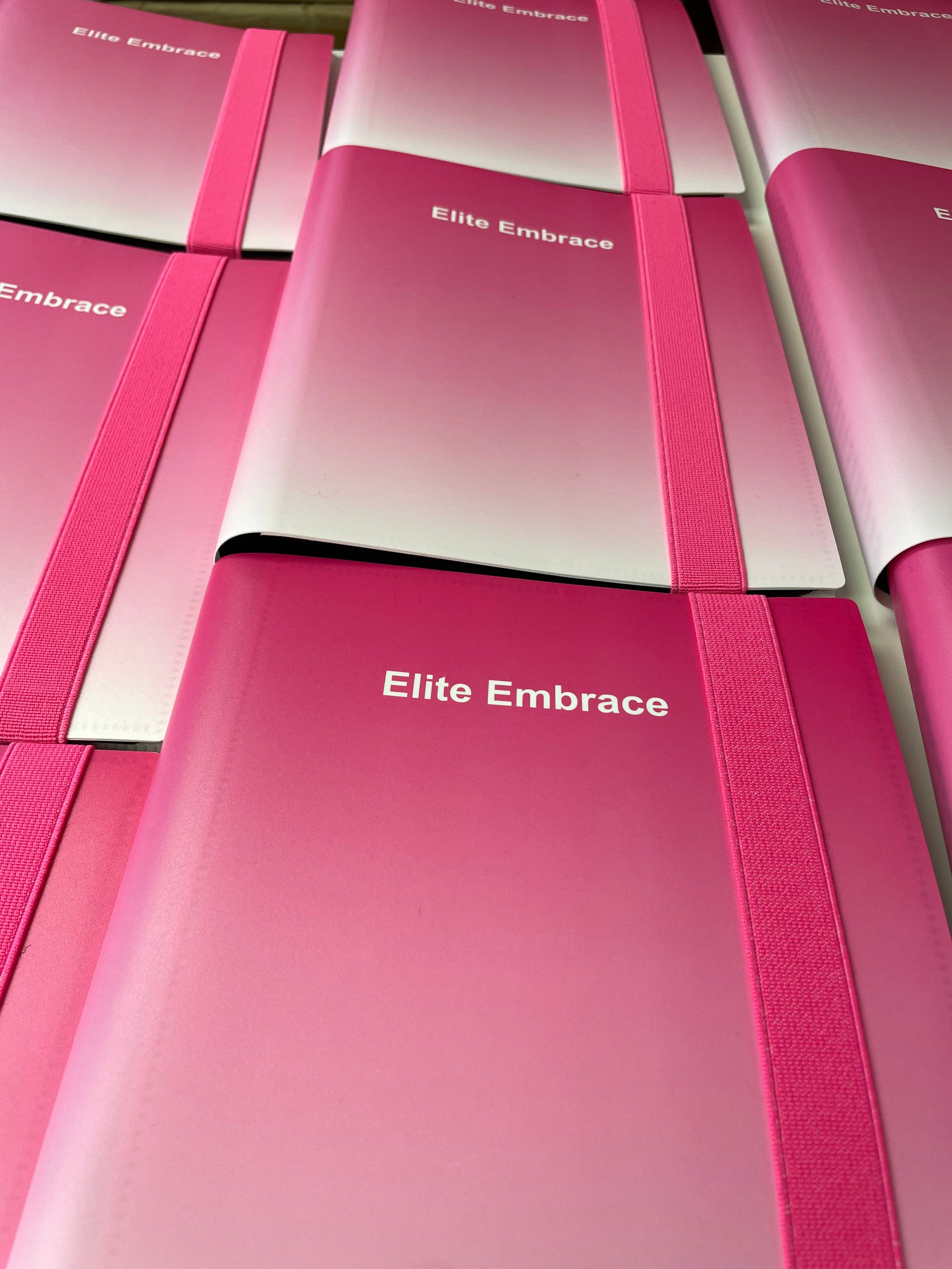 ELITE EMBRACE Professional Slider Book 160 pockets - Reskined- Best Price in United States