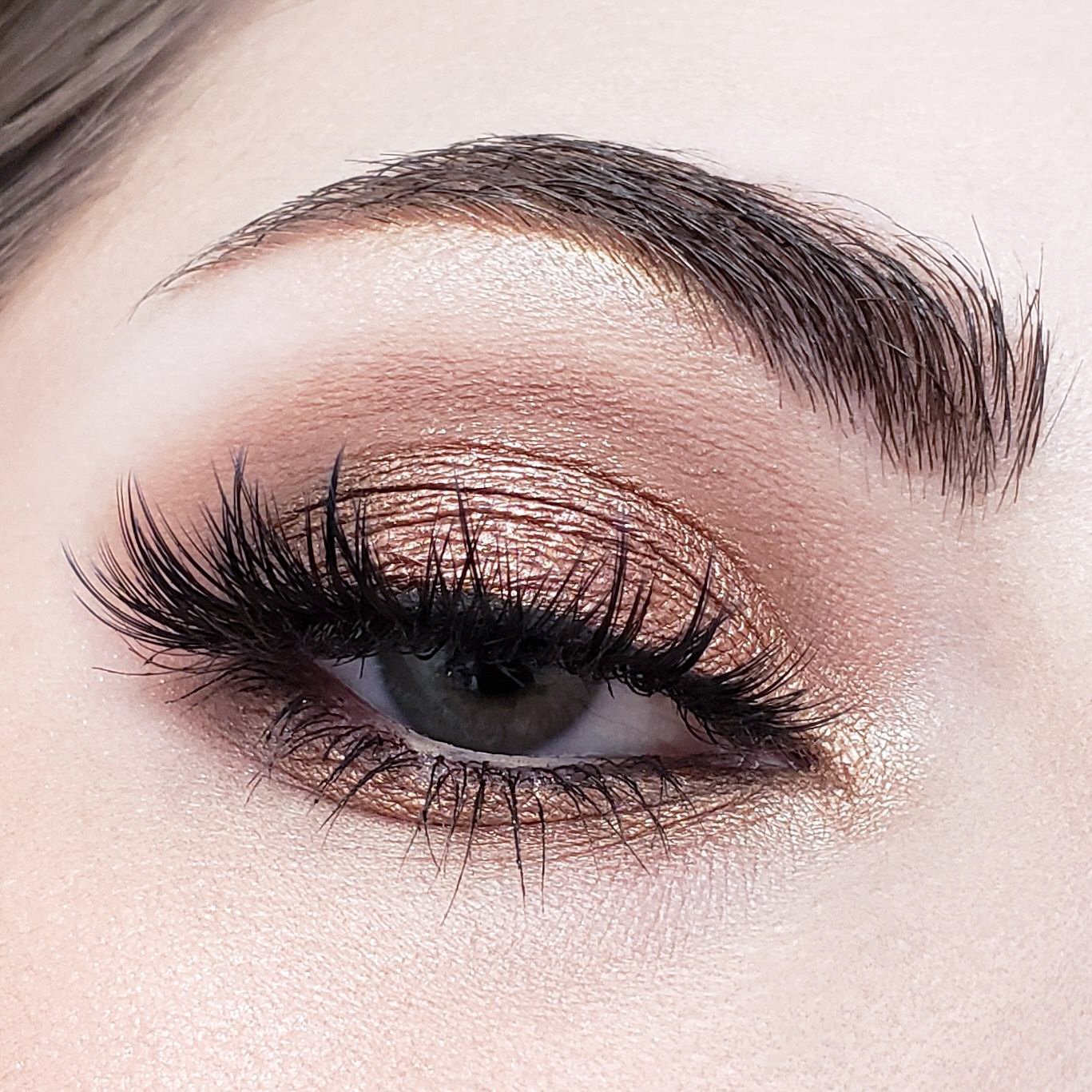 JAVA EYESHADOW PALETTE 35J - Reskined- Best Price in United States