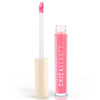 Gloss Boss Lip Gloss - Reskined- Best Price in United States