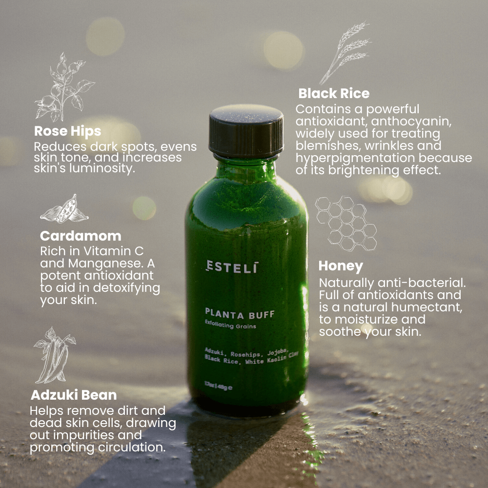 Planta Buff Exfoliating Grains - Reskined- Best Price in United States