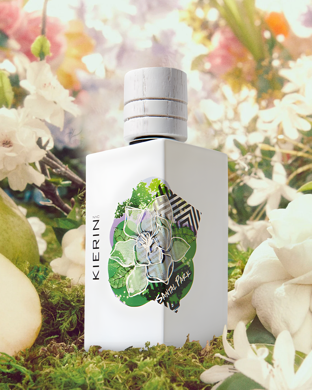 SANTAL PARK 100 ML - Reskined- Best Price in United States
