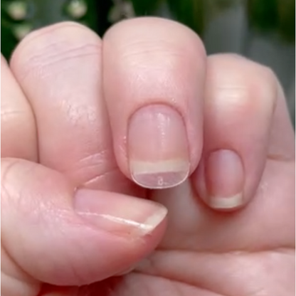 Short Squoval Quick Gel Tips - Reskined- Best Price in United States