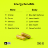 Xnergy: A.M. Nootropic for Calm Energy, Focus & Motivation - Reskined- Best Price in United States
