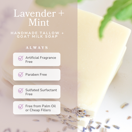 Lavender + Mint Handmade Tallow and Goat Milk Soap Bar - Reskined- Best Price in United States
