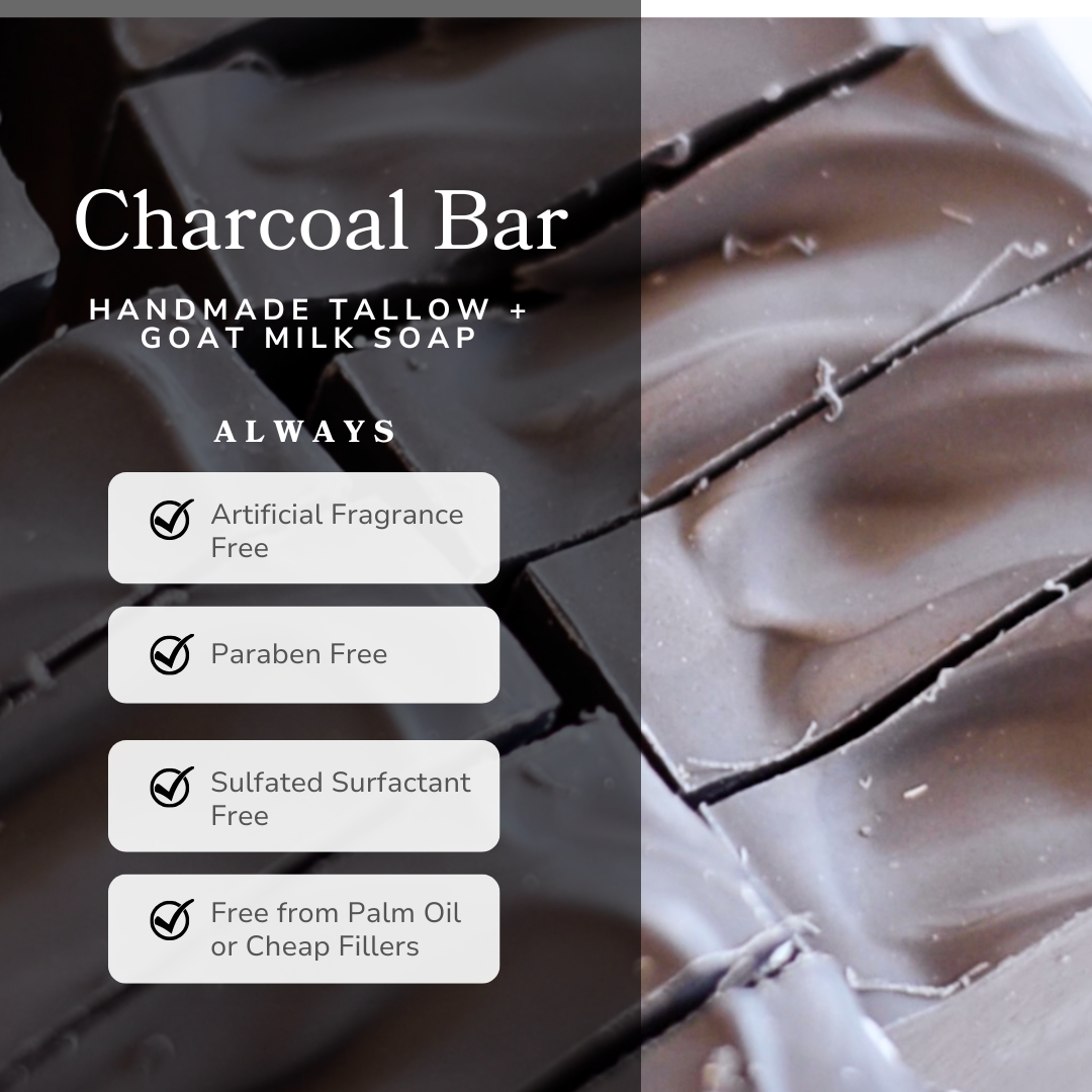 Clarifying Charcoal Bar Handmade Tallow and Goat Milk Soap Bar - Reskined- Best Price in United States