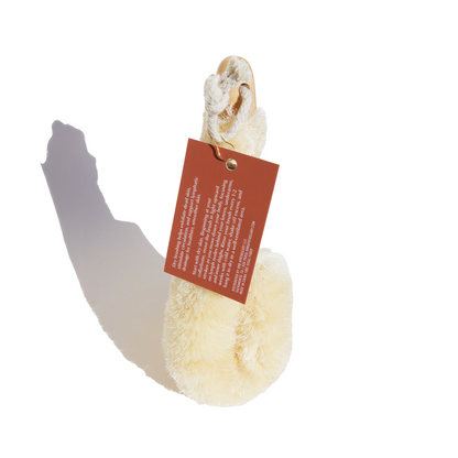 Dry Body Brush - Reskined- Best Price in United States