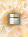 Plant Profusion Night Cream - Reskined- Best Price in United States